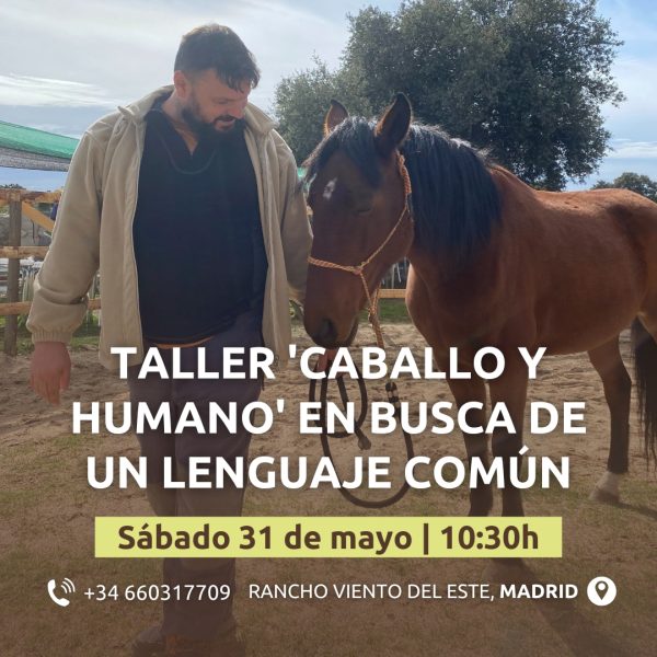 taller caballo y humano en madrid