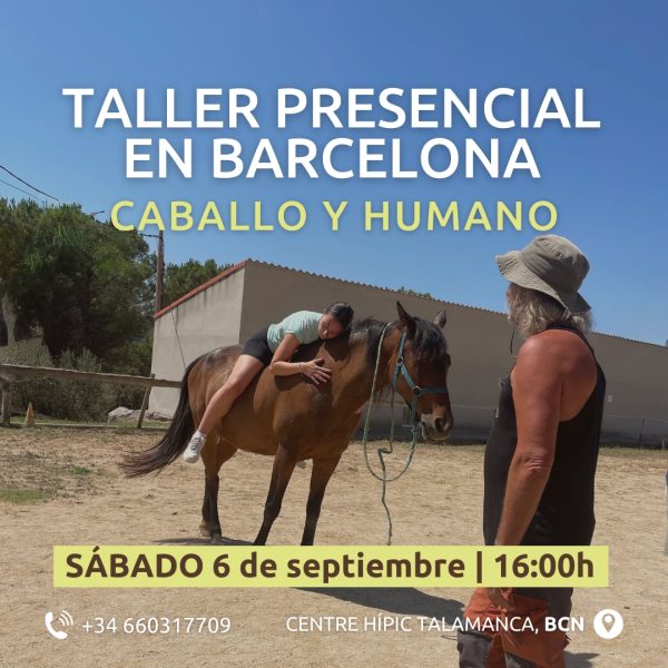 taller caballo y humano 6 septiembre barcelona