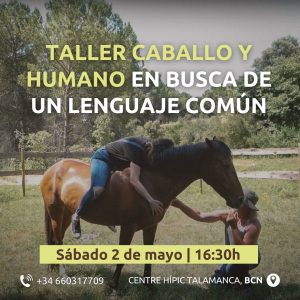 taller caballo y humano 2 de mayo, actividades con caballos cerca de Manresa, Terrassa y Barcelona