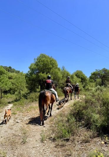 montando a caballo (masterclass para jinetes autónomos)