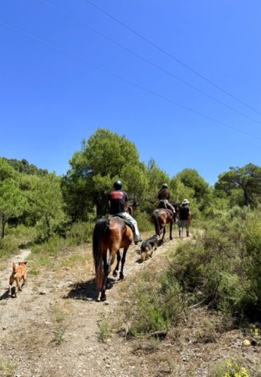 montando a caballo (masterclass para jinetes autónomos)